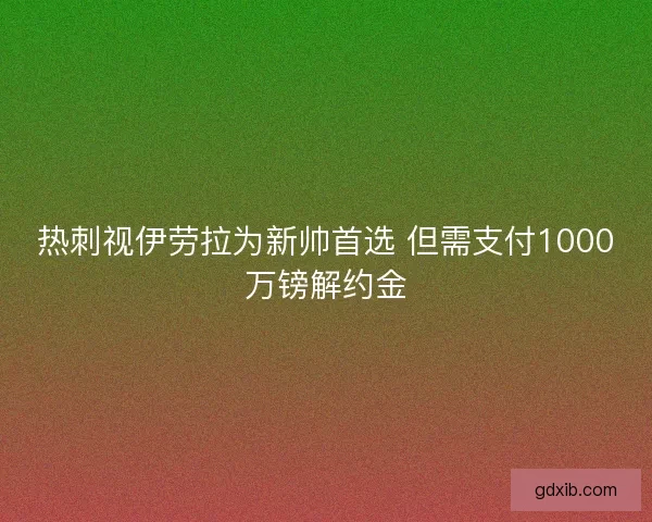 热刺视伊劳拉为新帅首选 但需支付1000万镑解约金
