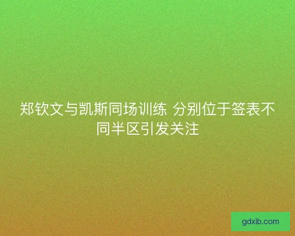 郑钦文与凯斯同场训练 分别位于签表不同半区引发关注