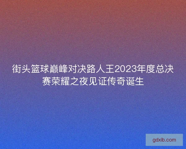 街头篮球巅峰对决路人王2023年度总决赛荣耀之夜见证传奇诞生