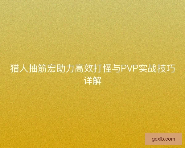 猎人抽筋宏助力高效打怪与PVP实战技巧详解