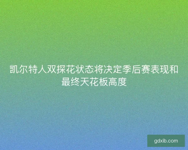 凯尔特人双探花状态将决定季后赛表现和最终天花板高度