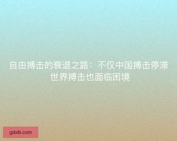 自由搏击的衰退之路：不仅中国搏击停滞 世界搏击也面临困境