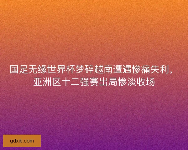 国足无缘世界杯梦碎越南遭遇惨痛失利，亚洲区十二强赛出局惨淡收场