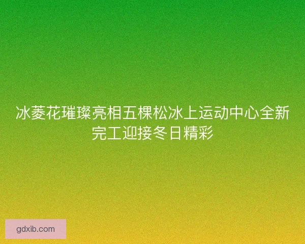 冰菱花璀璨亮相五棵松冰上运动中心全新完工迎接冬日精彩